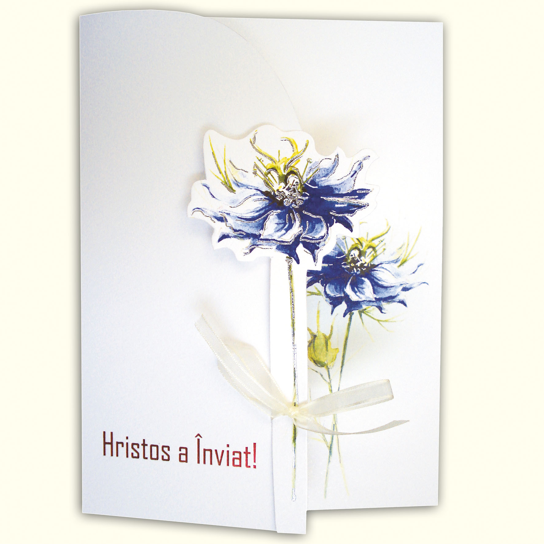 invitatii