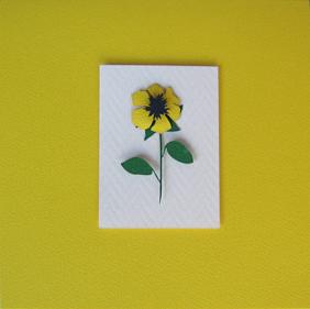 invitatii